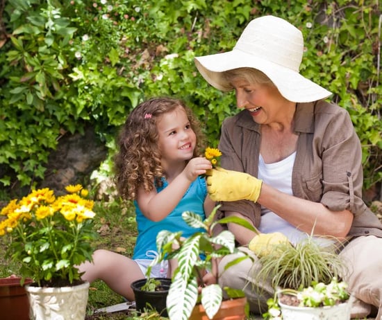 Grandmother gardening outdoors with her granddaughter Grandmother gardening outdoors with her granddaughter